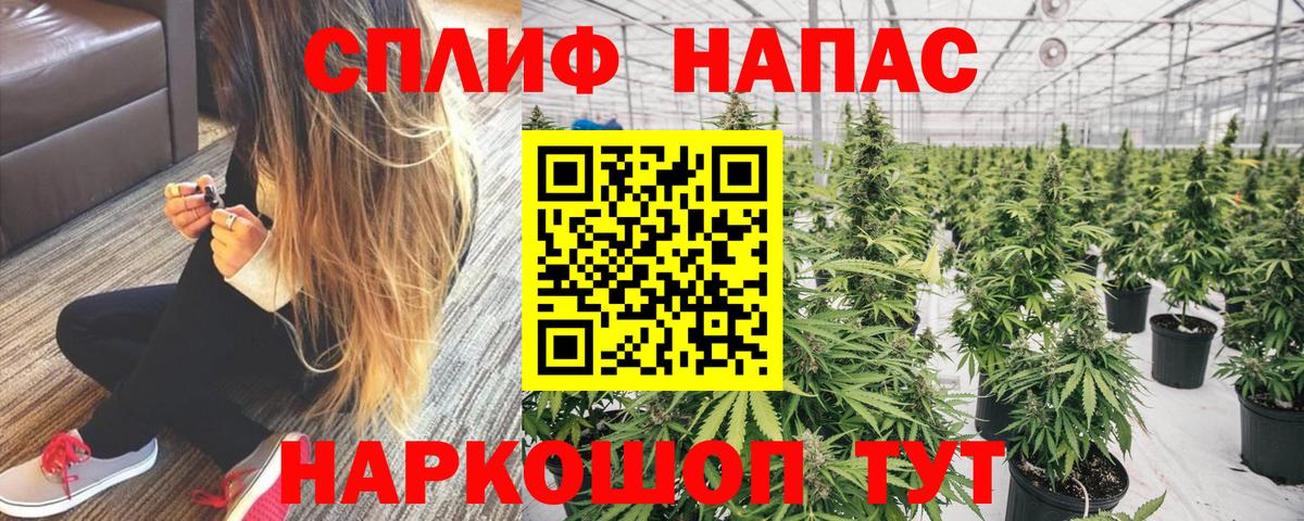 Бошки марихуана конопля Азнакаево